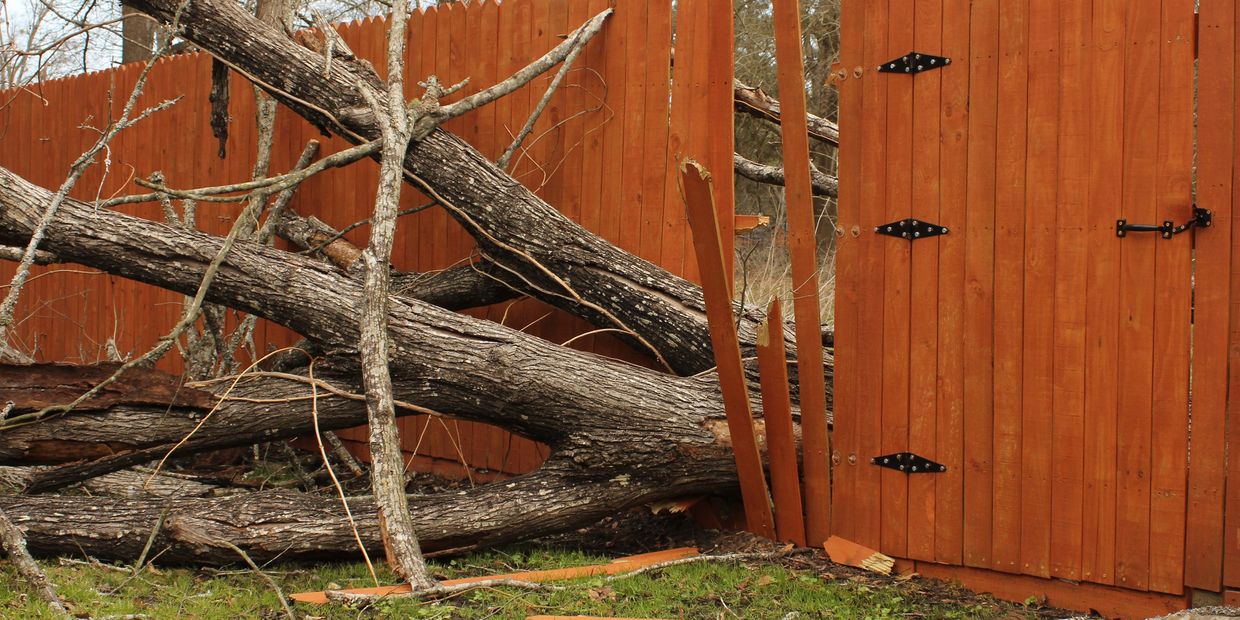 Emergency Tree Services Tyler Texas