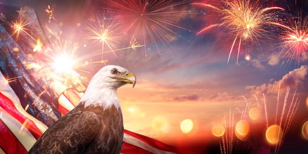 Bald eagle with American flag and fireworks at sunset.