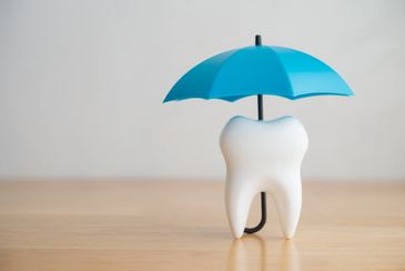 Dental insurance options and in-house discount plan