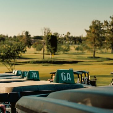 Line of numbered golf carts parked on a sunny golf course.