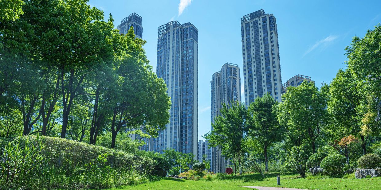 Skyscrapers behind lush green park under blue sky.