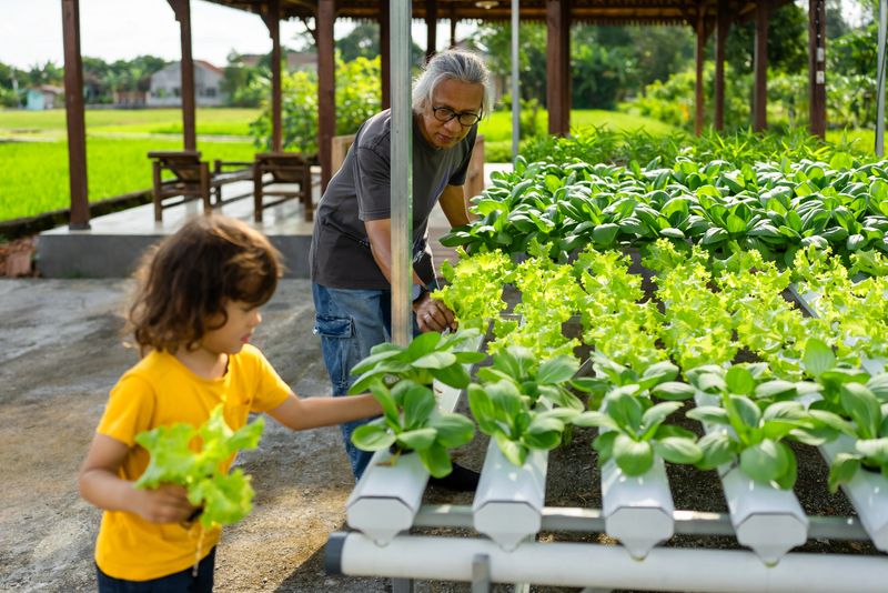 A grandfather shares a special moment with his grandson as they tend to plants in a community garden. They explore the garden's greenery and enjoy quality time together.