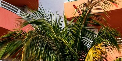 Electrician serving South Miami, FL — Legacy Electrical Contractors
