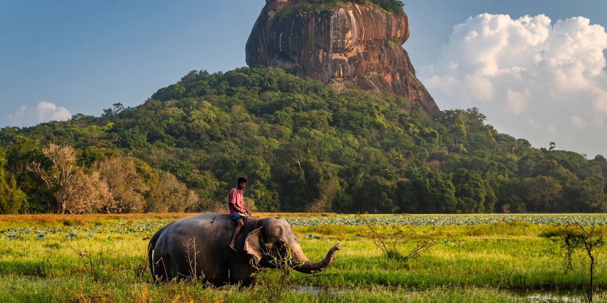 Man riding an elephant in front of a large rock formation.