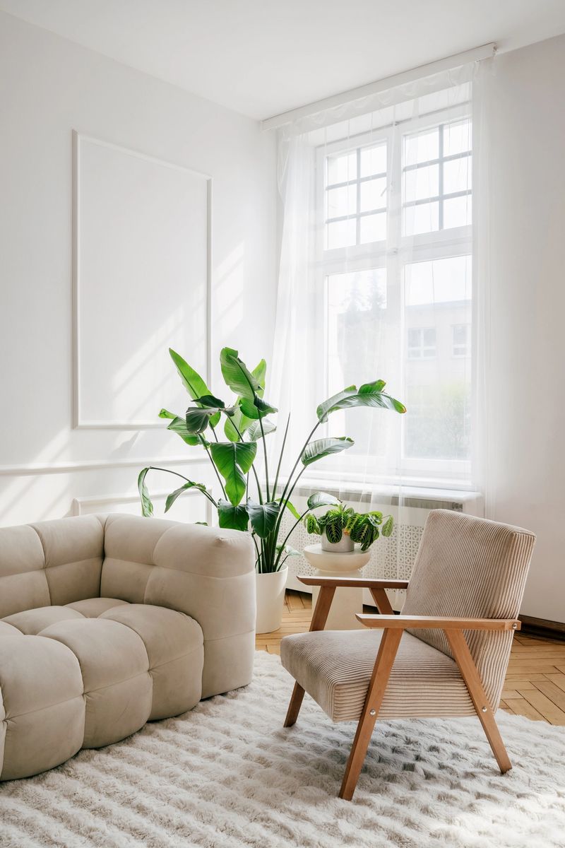 Living room has a soft white couch, a stylish armchair and green vibrant plants, all enhanced by natural light from large windows, creating a serene atmosphere in cozy apartment