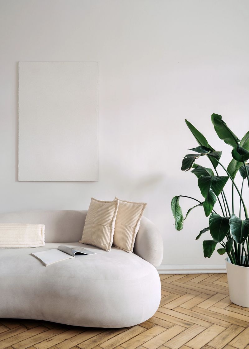 Cozy living space showcases a white modern couch adorned with throw pillows. Natural light highlights the elegant design, complemented by a leafy green plant nearby. Copy space wall art over sofa