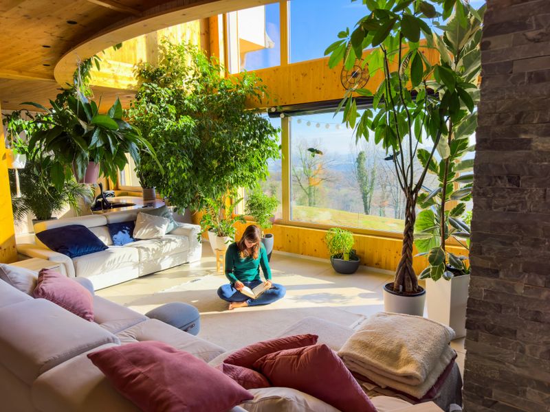 Woman with crossed legs sits on the floor of a bright living room, reading a book. Sunlight pours in through large windows, illuminating lush houseplants, comfy sofas, and wooden interior details.