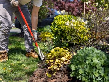 Person gardening with a shovel in a flower bed.