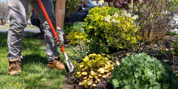 Person gardening with a tool in a lush garden.