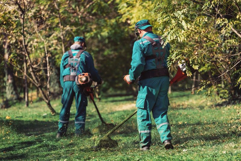 Two landscape maintenance workers are using trimmers to keep the park's grass tidy under the bright sunlight, surrounded by trees and greenery.