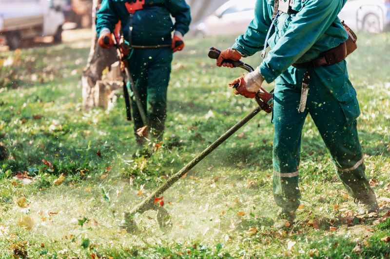 Two workers are actively using trimmers to cut grass and weeds in a vibrant park. The sun shines brightly as they maintain the green space, contributing to community beautification.