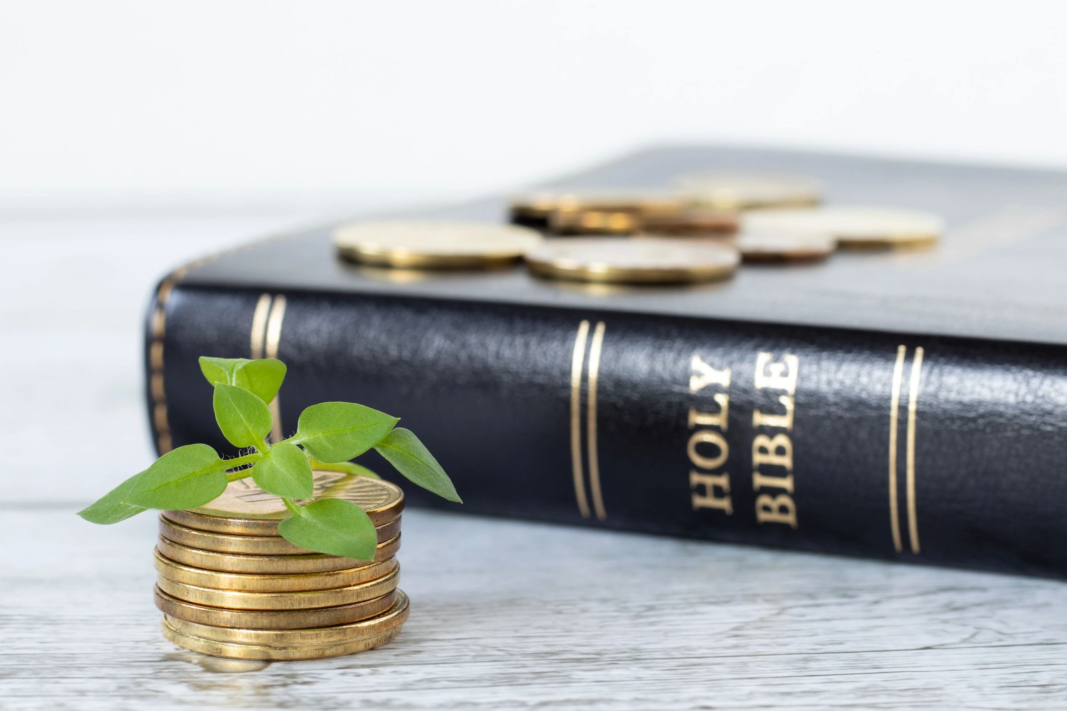 Coins with a plant and a Holy Bible.
