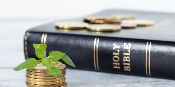 Coins stacked with a small plant in front of a Holy Bible.