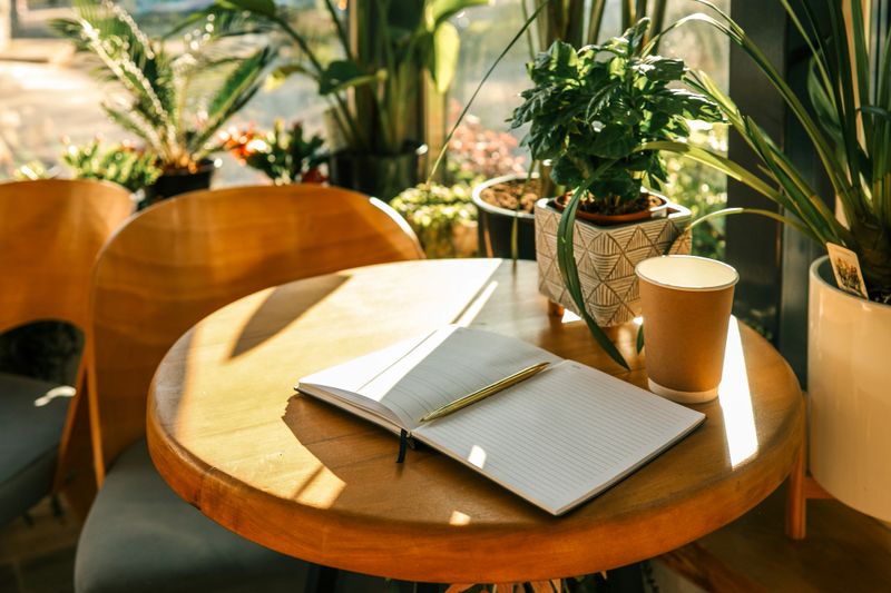 Open notebook with golden pen and takeaway coffee cup on wooden table in sunlit cafe with green houseplants and cozy modern interior.