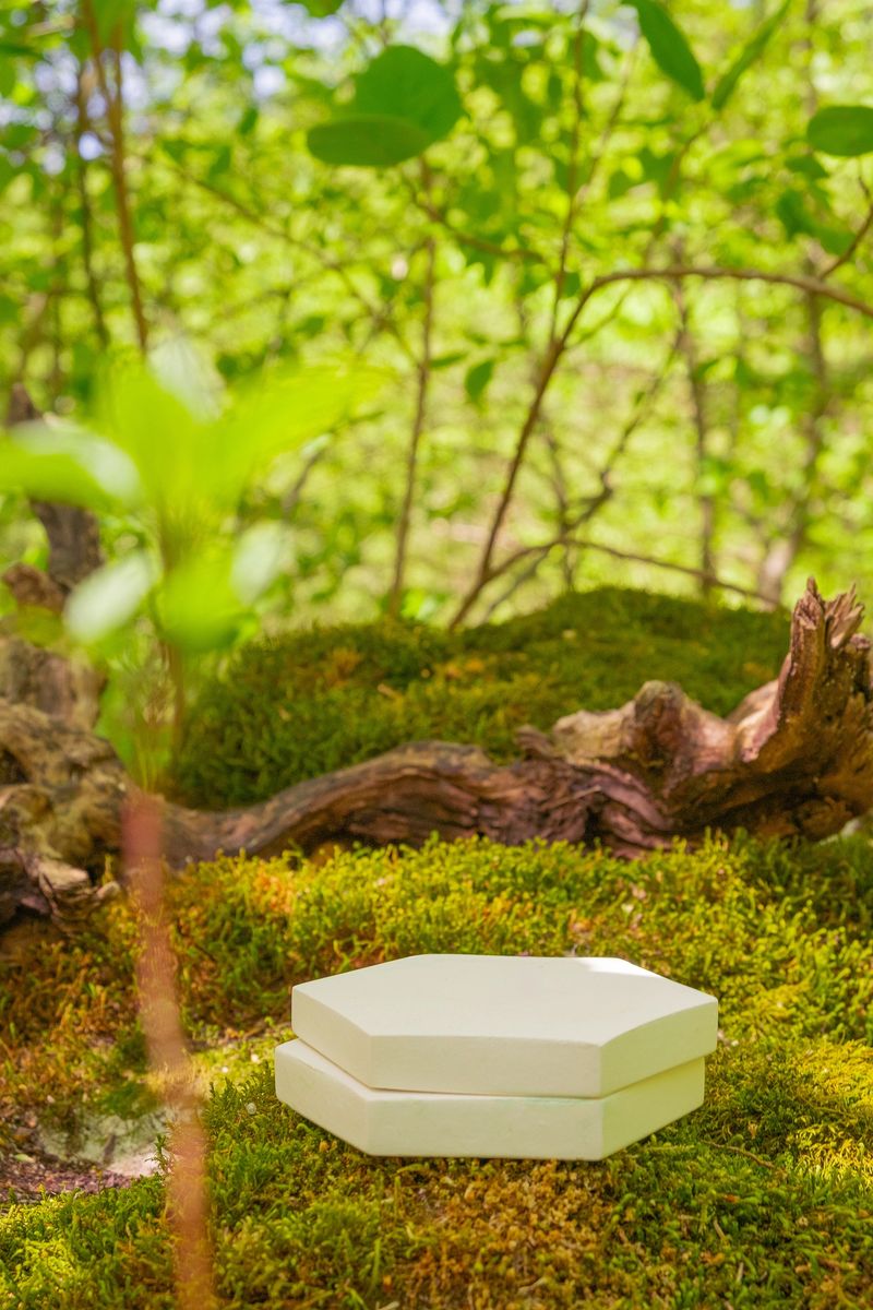 A simple white pedestal supports product packaging among vibrant green foliage in a tranquil outdoor environment. Sunlight filters through leaves, creating a peaceful atmosphere.