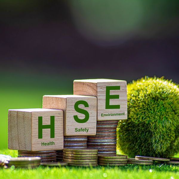 Wooden blocks spelling HSE on stacks of coins with a green moss ball background.
