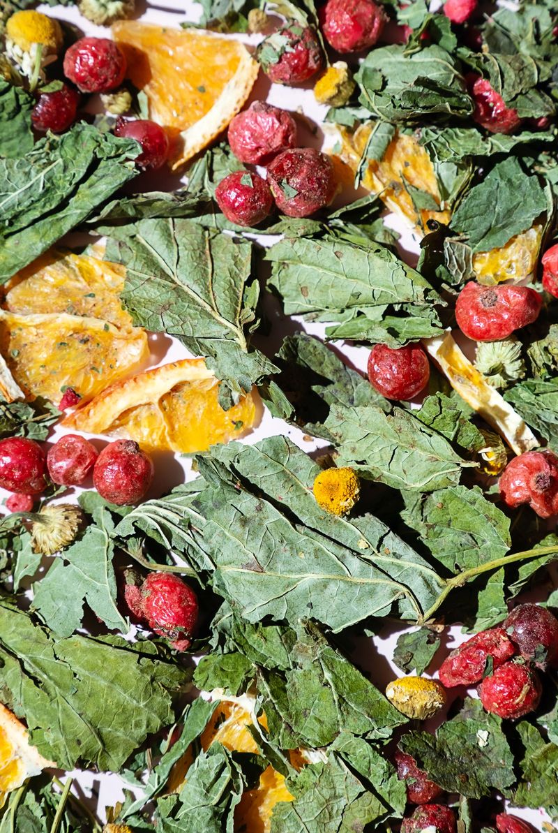 Dried Leaves, Fruit Pieces and Flower Heads Spread Out for Herbal Tea Ingredients. Natural Healthy Drink and Wellness Concepts.