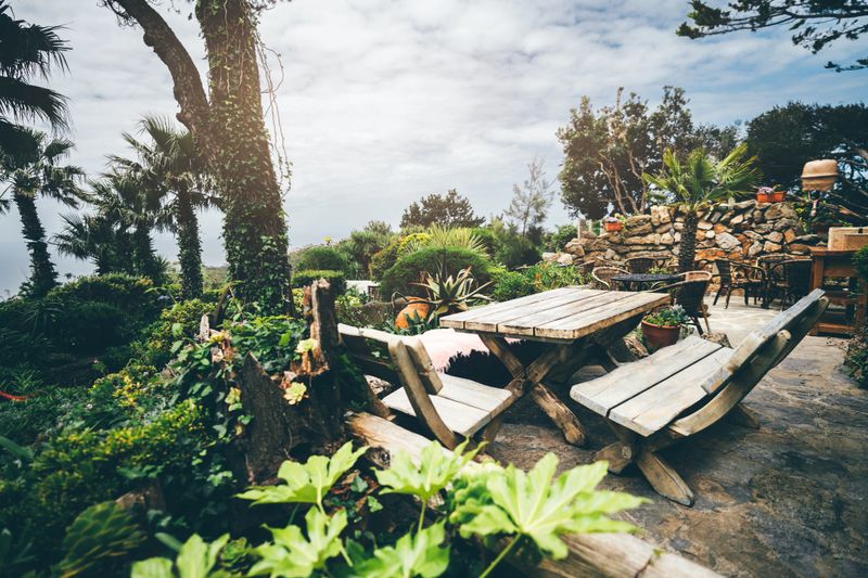 Cozy outdoor seating area with rustic wooden tables and benches surrounded by lush greenery, palm trees, and stone walls under a cloudy sky. Wide-angle view captures natural charm
