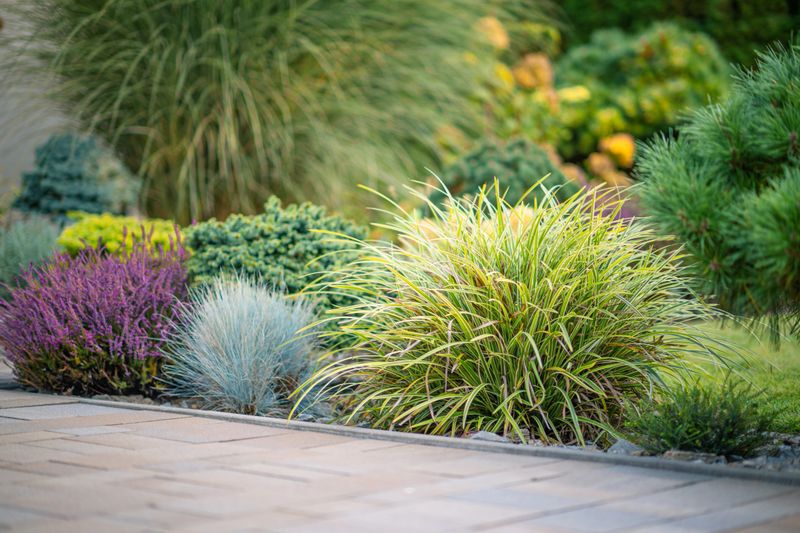 Lush garden beds display a variety of plants showcasing shades of green, purple, and blue. The well-maintained landscaping includes ornamental grasses and shrubs, providing texture and visual interest.