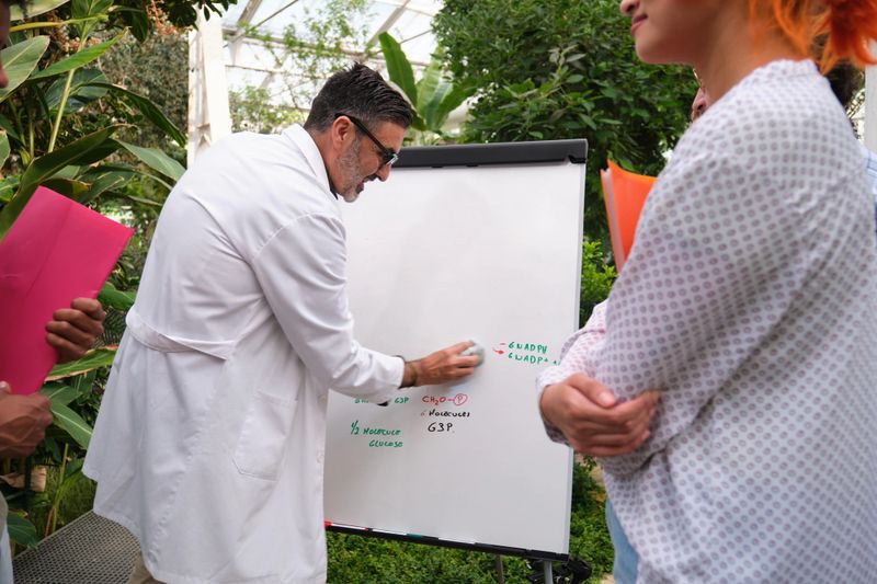 Scientists having a meeting, explaining chemical formulas on a whiteboard in a greenhouse