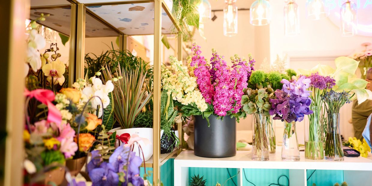 Bright flower shop interior with colorful blooms and green plants.