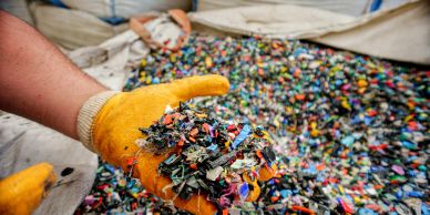 Hand holding colorful shredded plastic pieces.