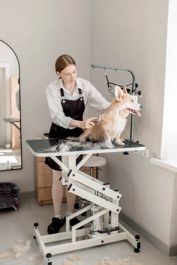 Peluquera de perros cepilla a un perro en una mesa de grooming.
