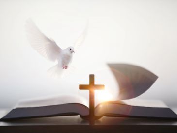 Dove flying above a Bible with a glowing cross.