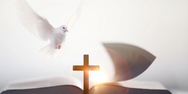 A white dove flying above a cross and an open Bible.