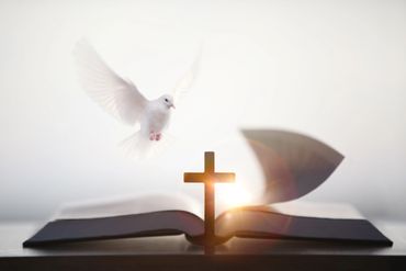 A white dove flying near a wooden cross and an open Bible.