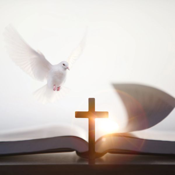 Dove flying above a cross on an open Bible.