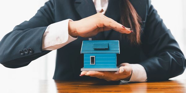 trade smart live free wood timber african 