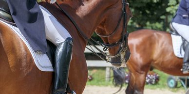 two competitive horse riders 