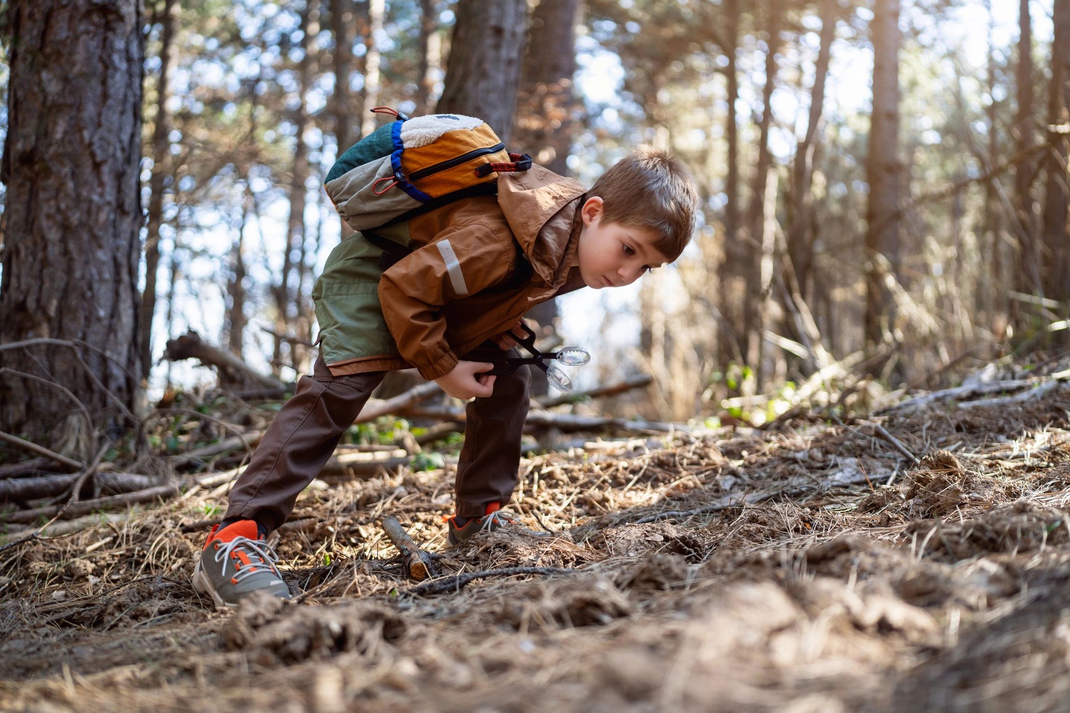 Teacher Reflection: Forest Animals Week