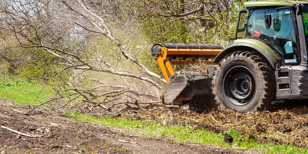 Tractor clearing branches in a forest.