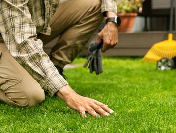 Organic turf spaces.