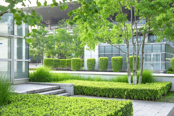 Commercial Landscape Excellence