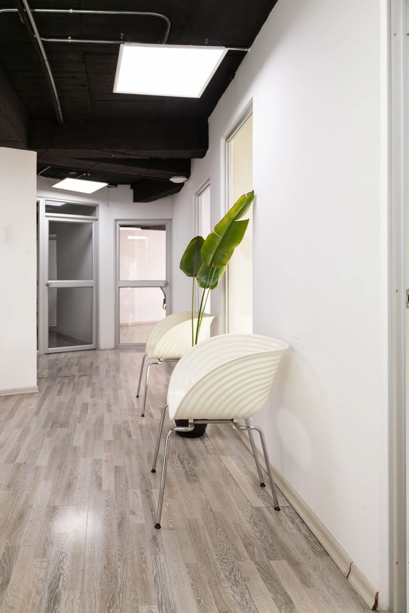 Two stylish white chairs sit beside a lush green plant in a sleek waiting hallway, offering a sophisticated and welcoming atmosphere for visitors.