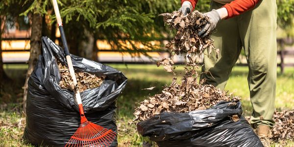 Cleanout Crew
Junk Removal Omaha
Property Clean Out Omaha
Yard Waste Removal Omaha
Dumpsters Omaha