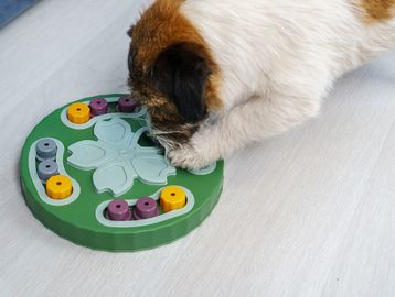 Dog activity puzzles stimulating daycare puppy treats