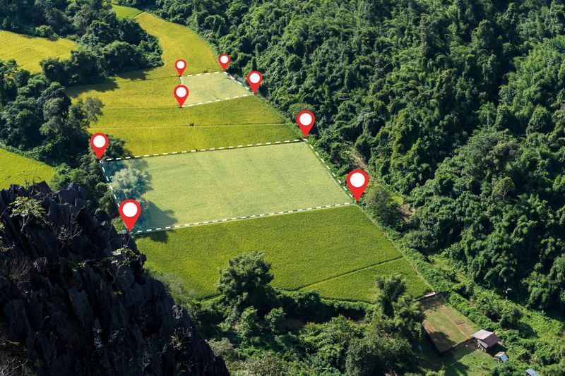 Aerial photo of green rice fields divided with dotted boundary lines and red location pins, surrounded by tropical forest and mountains in rural farming area, suitable for agricultural planning.