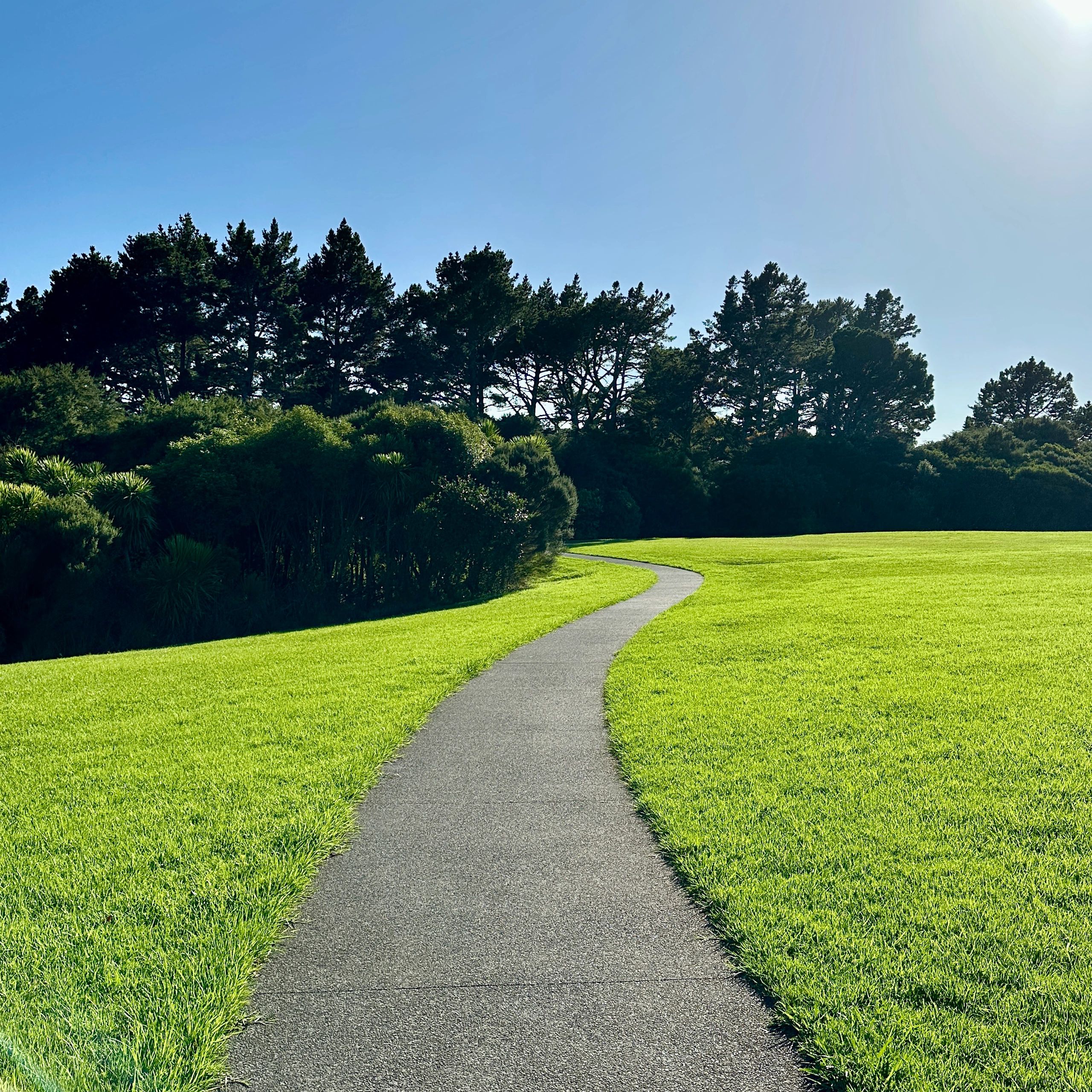 Arborists using IPM programs, curative and preventive treatments for pest-free outdoor spaces.