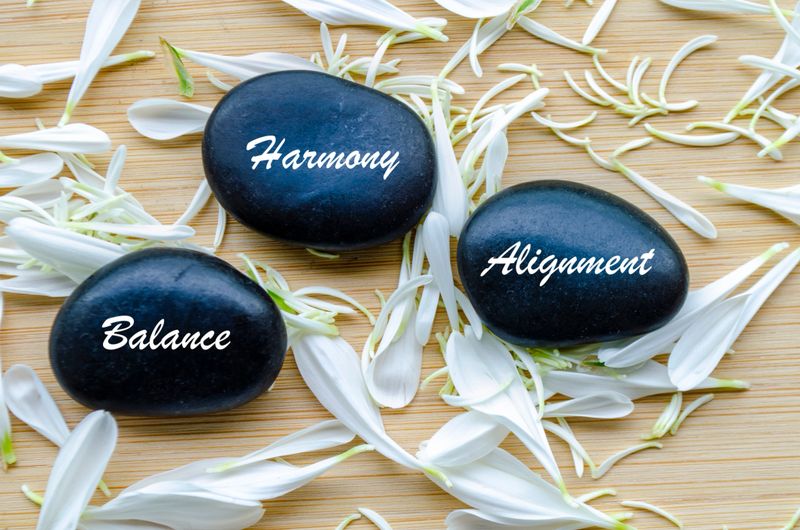 Balance, Harmony, and Alignment text on zen stones surrounded by flower petals. Inner peace concept.