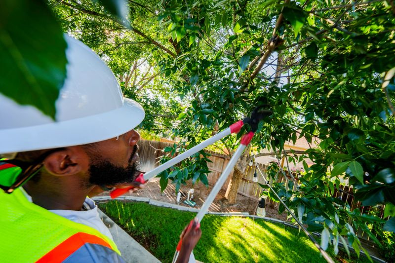 Young African American Man Wearing Hardhat and High Visibility Vest, Safety Gear, Trims a Tree in a Back Yard on a Sunny Summer Afternoon