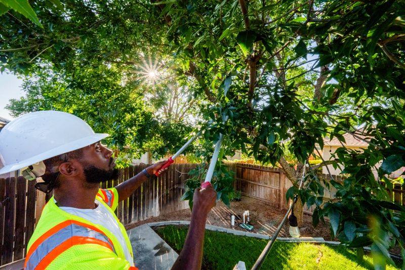 Young African American Man Wearing Hardhat and High Visibility Vest, Safety Gear, Trims a Tree in a Back Yard on a Sunny Summer Afternoon