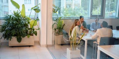 Team meeting in a bright office.