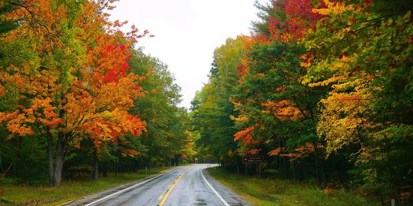 Wet road surrounded by colorful autumn trees with a sign for Loon Lake Public Access.