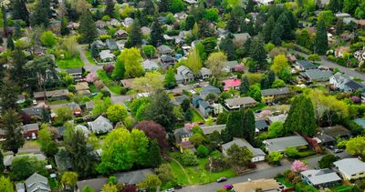 A vibrant suburban neighborhood with lush greenery and colorful trees.