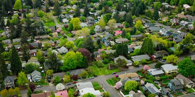 Aerial view of a suburban neighborhood with lush greenery.