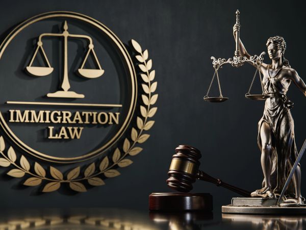 picture of Immigration law